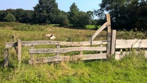twente